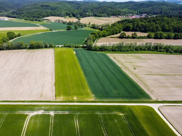 Aerial View Agricultural Field Grain Planted Spring Bavaria — Stock Photo, Image