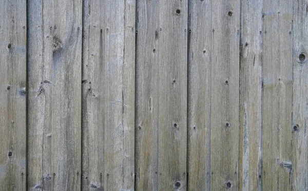 Naturholz Mit Feiner Struktur Freien Bei Tageslicht Fotografiert — Stockfoto