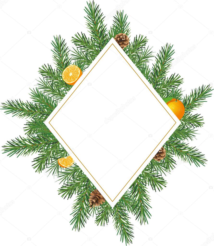 Christmas banner with fir branches, oranges and cones. Christmas frame