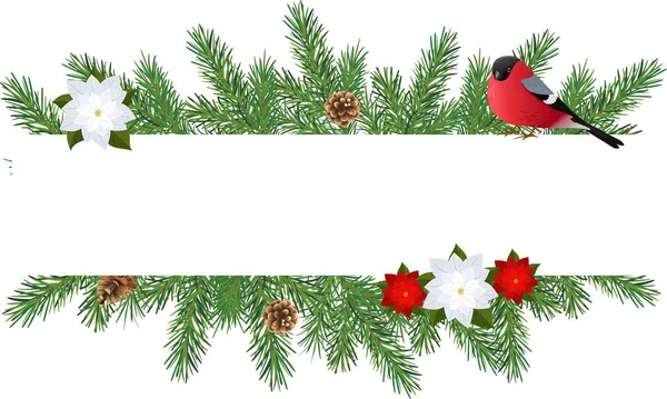 Weihnachtsrahmen Mit Tannenzweigen Zapfen Blumen Und Gimpel Neujahrsbanner — Stockvektor