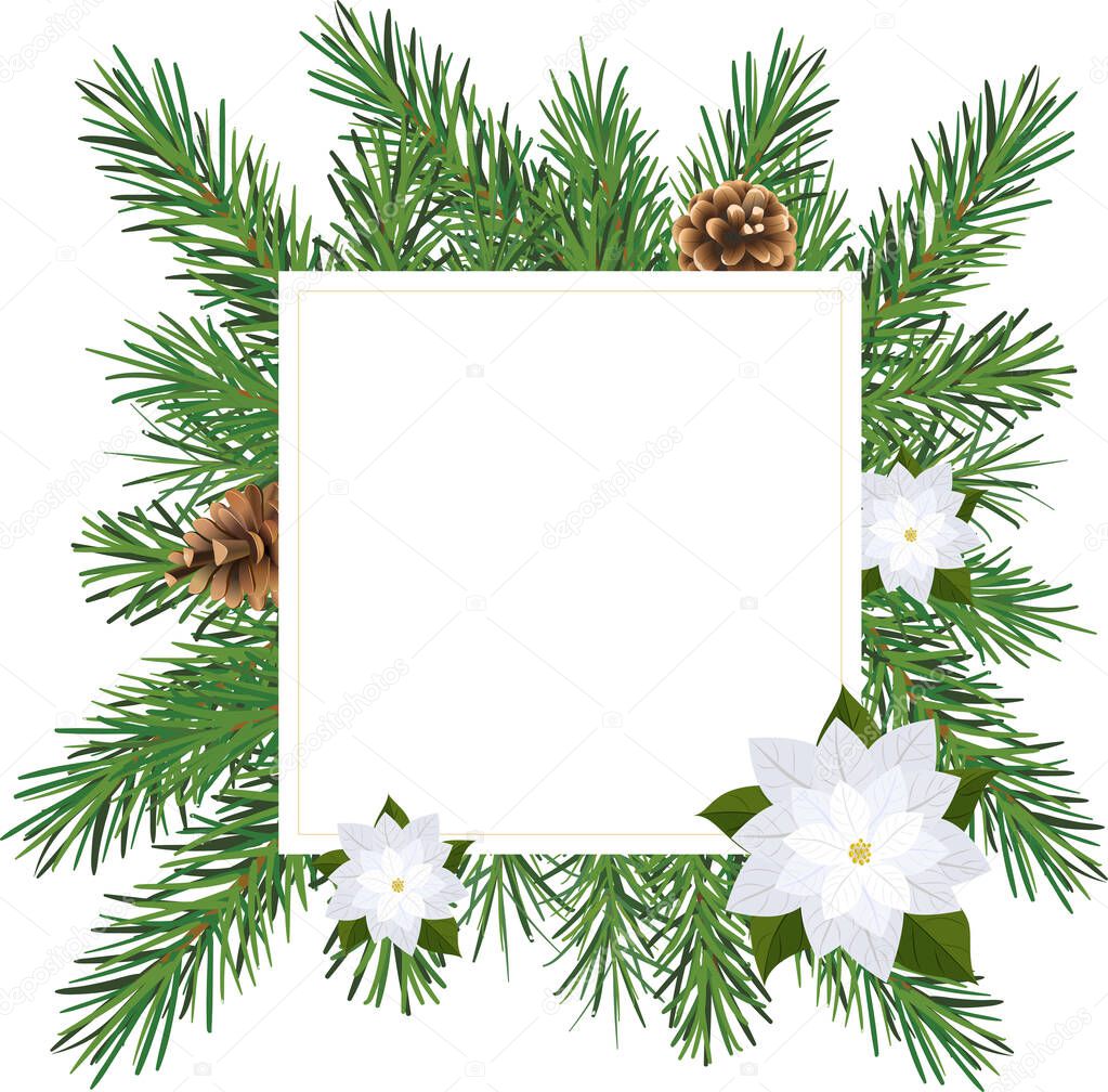Square Christmas frame with fir branches, cones and flowers. New year's banner
