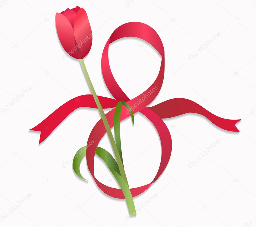 8 red ribbon with a red tulip on a white background. Vector illustration for the banner for the International Women's Day - March 8