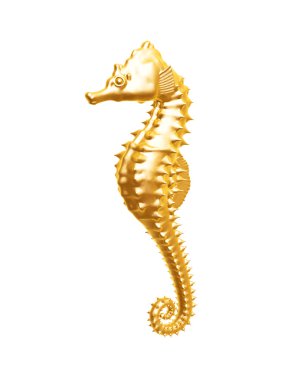 Altın deniz atı