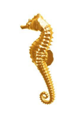 golden seahorse clipart