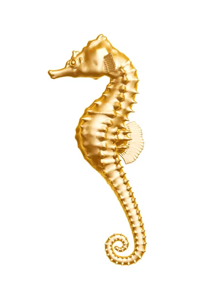 Goldenes Seepferdchen Stockfoto