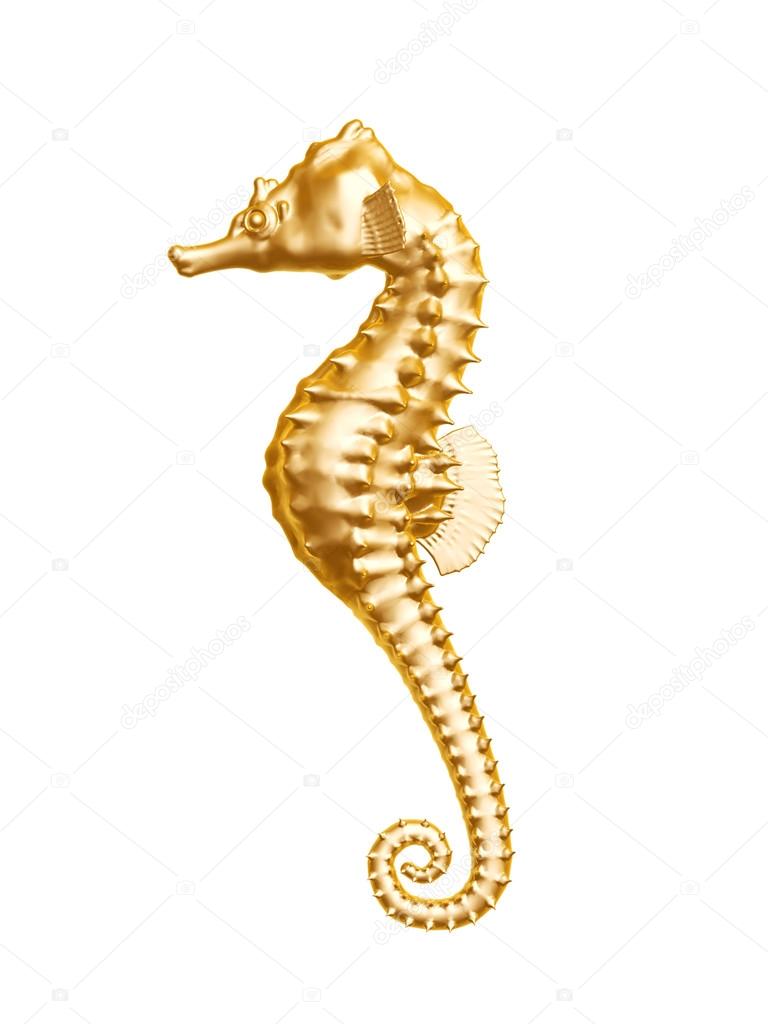 golden seahorse