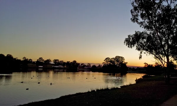 Pôr do sol com árvore e céu azul — Fotografia de Stock