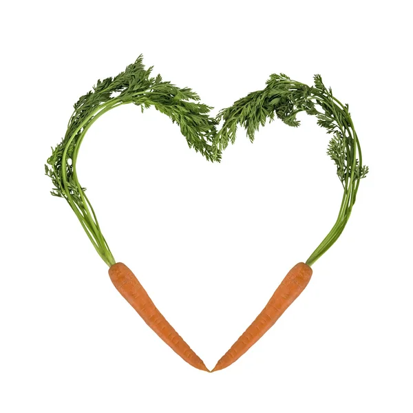 胡萝卜说明作为一颗心 — 图库照片