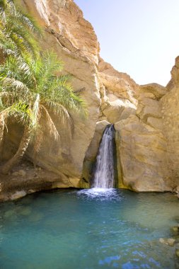 Dağ oasis Chebika görünümünü