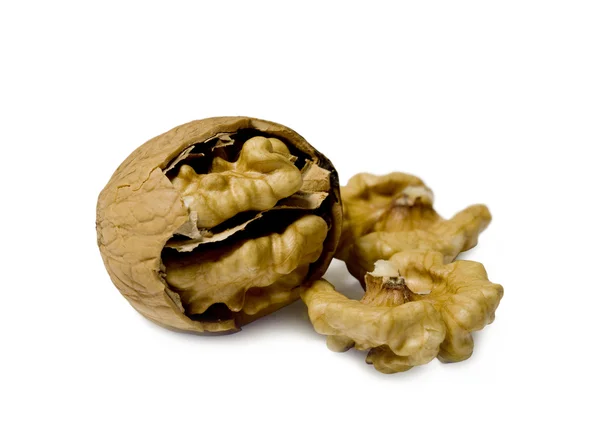 Walnut — Stock Photo, Image