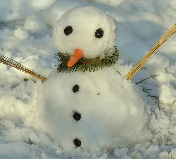 Pupazzo di neve — Foto Stock