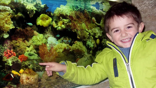 Little boy in the aquarium — Stock Photo, Image