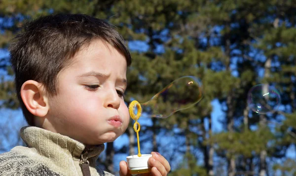 Soap bubbles — Stock Photo, Image