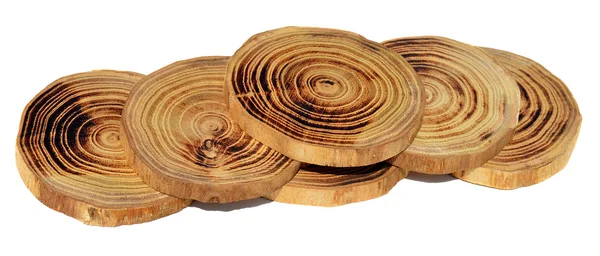 Wood slices — Stock Photo, Image