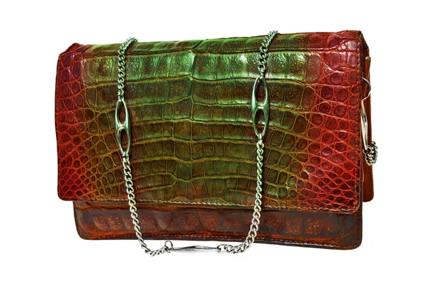Alligator leather bag — Stockfoto