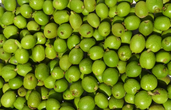 Groene jonge walnoten — Stockfoto
