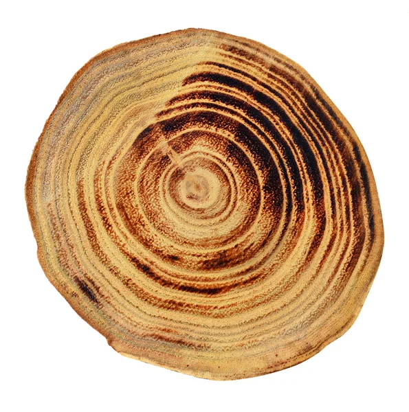 木材のスライス — ストック写真