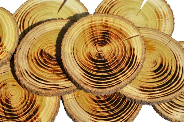 Wood slices — Stock Photo, Image