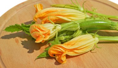 Sarı kabak çiçekleri