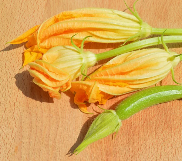 Yellow courgette blossoms — Stock Photo, Image