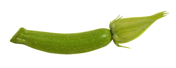 Baby courgette — Stock Photo, Image