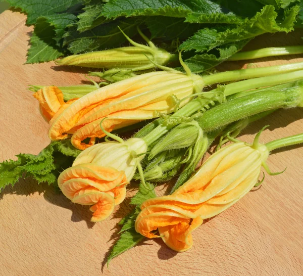 Flores de abobrinha amarelas — Fotografia de Stock