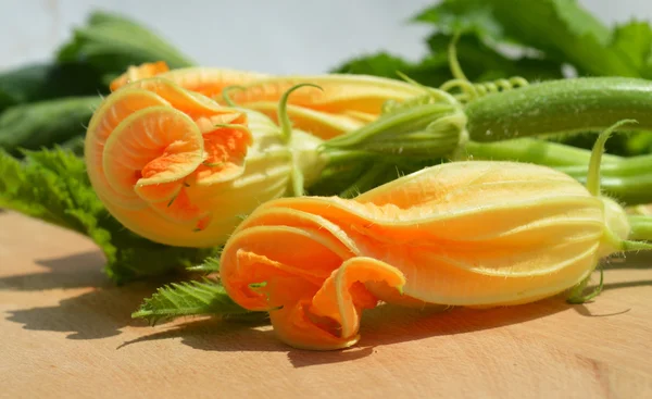 Yellow courgette blossoms — Stock fotografie