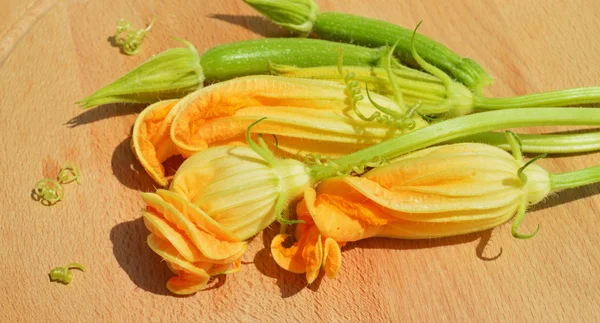 Flores de abobrinha amarelas — Fotografia de Stock