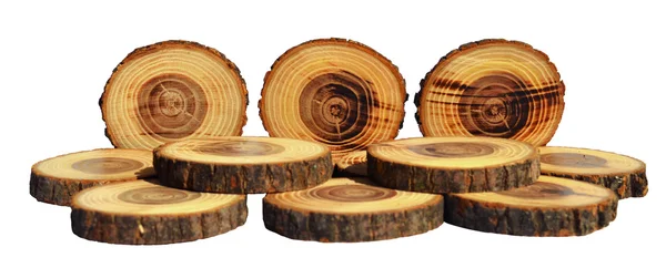 Fatias de madeira — Fotografia de Stock
