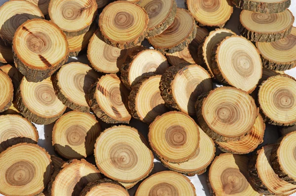 木材のスライス — ストック写真