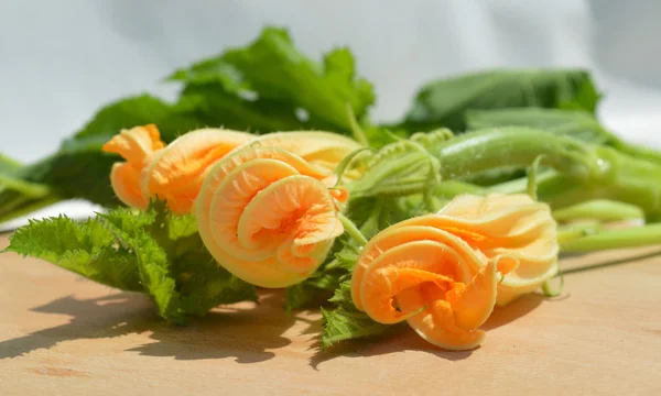 Yellow courgette blossoms — Stock Photo, Image