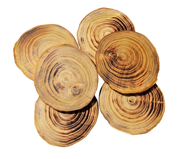 Wood slices — Stock Photo, Image