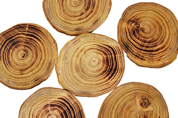 Wood slices — Stock Photo, Image