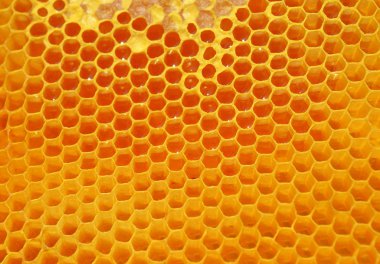 Arka plan Petek Bal ile