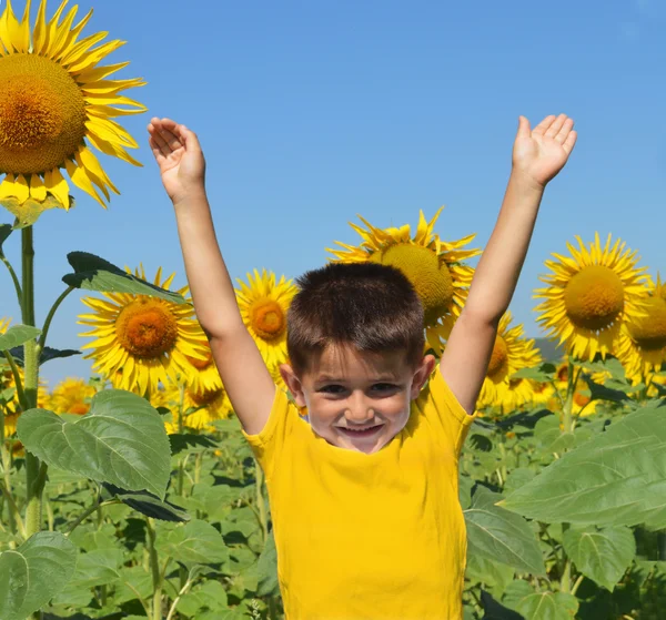 Happy kid in field with sunflowers — Stock Photo, Image
