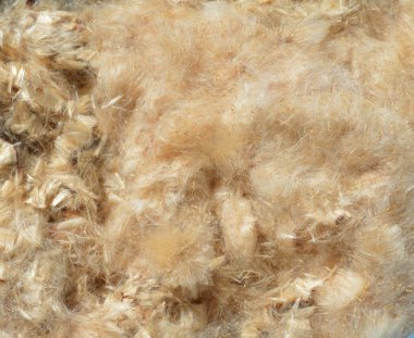 Bulrush aşağı doldurma