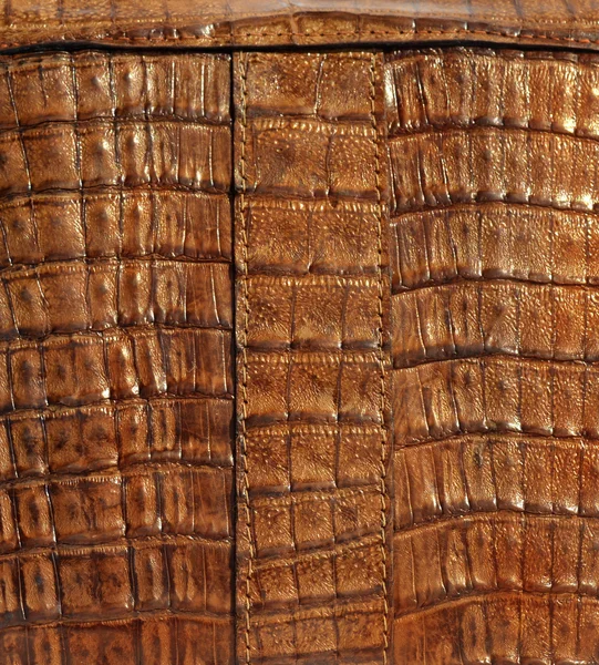 Hintergrund aus braunem Alligatorleder — Stockfoto