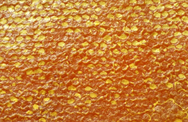 Φόντο σφραγισμένο κερήθρα με μέλι — Φωτογραφία Αρχείου