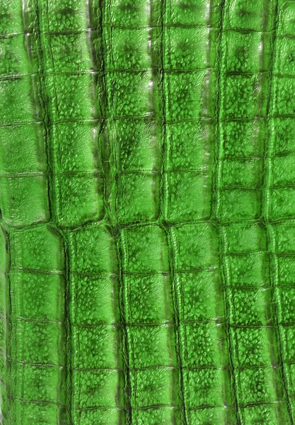 Φόντο από δέρμα αλιγάτορα πράσινο — Φωτογραφία Αρχείου