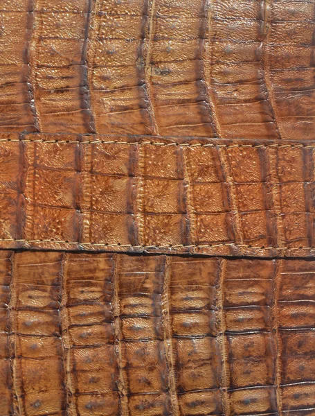 Background from brown alligator leather — Stock Photo, Image