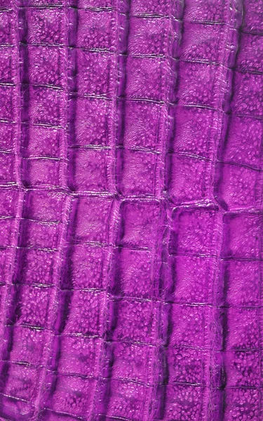 Purple alligator leather — Stock Photo, Image