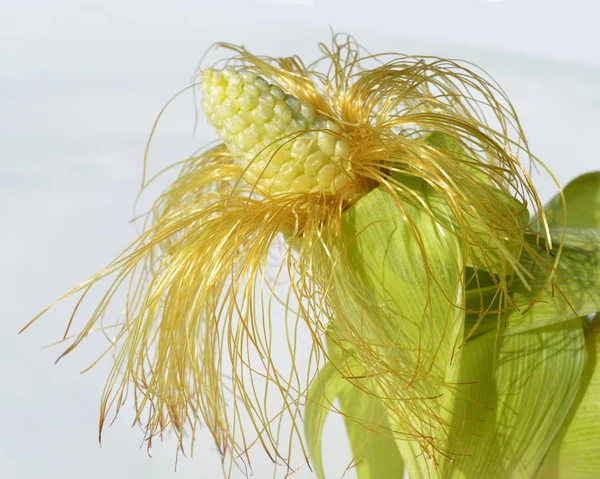 Maïs met maïs baard — Stockfoto