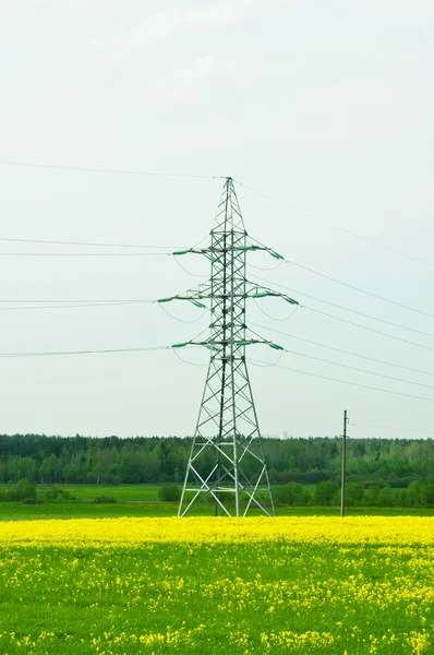 Støtte til kraftledninger – stockfoto