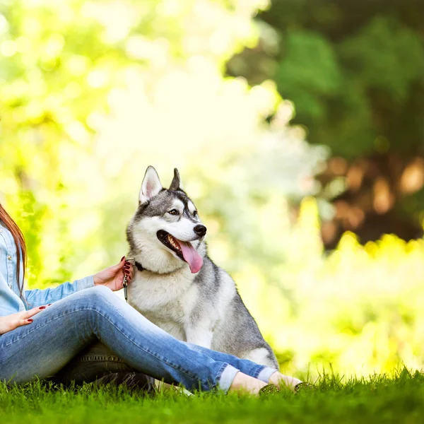 Liten flicka i parken sitt hem med en hund husky — Stockfoto