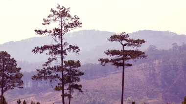 Olağanüstü güzellikte dağ