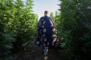 Esrar tarlasında poz veren yeşil elbiseli moda adamı, marihuana yasallaştırma konsepti