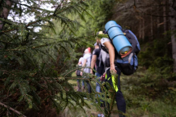 Wandelaars Bergen Een Kampeertocht Samen Met Gerechten Koken Een Vuur — Stockfoto