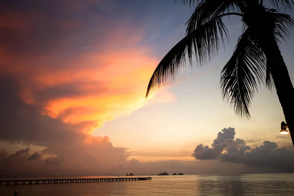 Palmeiras Pôr Sol Praia Tailândia — Fotografia de Stock