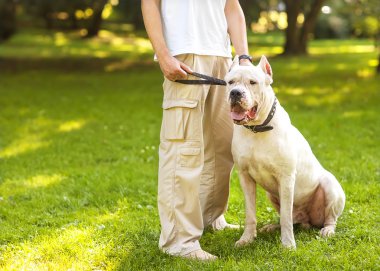 adam ve köpeği argentino kadar basit.