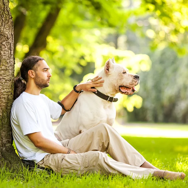 Homem e Cão Argentino caminham no parque . — Fotografia de Stock